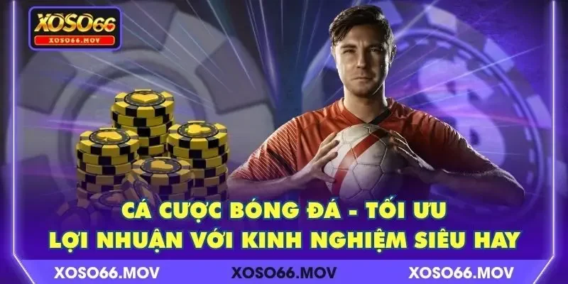 Cá Cược Bóng Đá – Tối Ưu Lợi Nhuận Với Kinh Nghiệm Siêu Hay