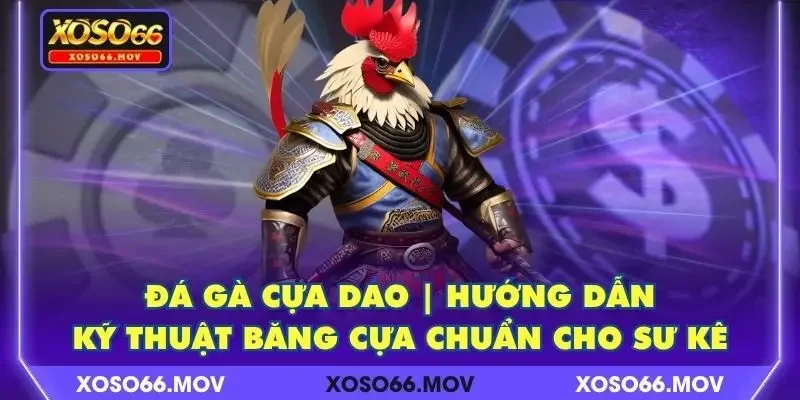 Đá Gà Cựa Dao | Hướng dẫn Kỹ Thuật Băng Cựa Chuẩn Cho Sư Kê