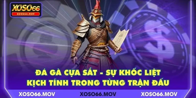 Đá Gà Cựa Sắt – Sự Khốc Liệt, Kịch Tính Trong Từng Trận Đấu